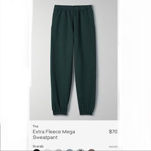 Aritzia scarab sweatpants